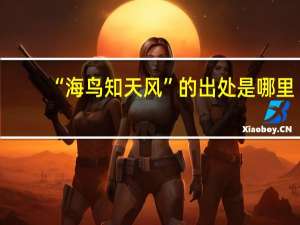“海鸟知天风”的出处是哪里