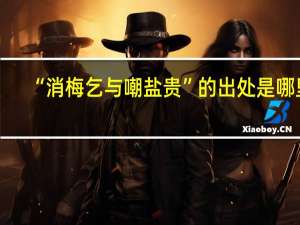 “消梅乞与嘲盐贵”的出处是哪里