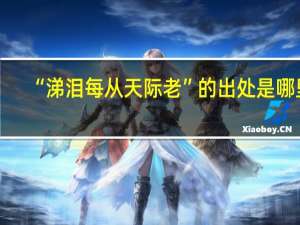 “涕泪每从天际老”的出处是哪里