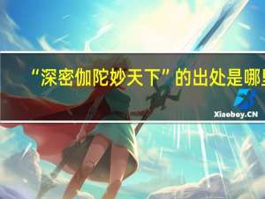 “深密伽陀妙天下”的出处是哪里