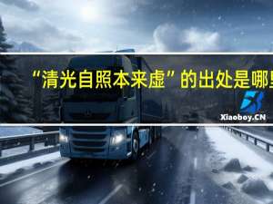 “清光自照本来虚”的出处是哪里