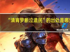 “清宵梦断泣遗民”的出处是哪里
