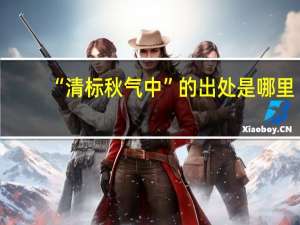 “清标秋气中”的出处是哪里