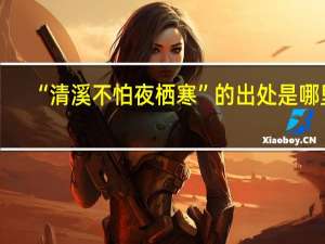 “清溪不怕夜栖寒”的出处是哪里
