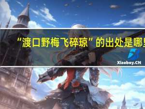 “渡口野梅飞碎琼”的出处是哪里