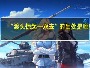 “渡头惊起一双去”的出处是哪里