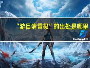 “游目清霄极”的出处是哪里