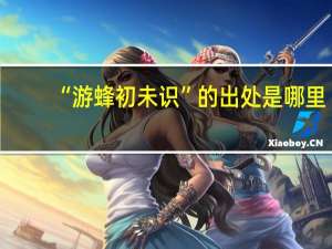 “游蜂初未识”的出处是哪里