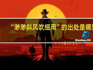 “渺渺斜风吹细雨”的出处是哪里