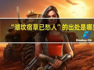 “湖坟宿草已愁人”的出处是哪里