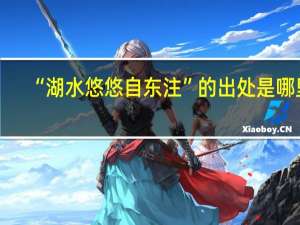 “湖水悠悠自东注”的出处是哪里