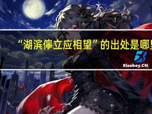 “湖滨儜立应相望”的出处是哪里