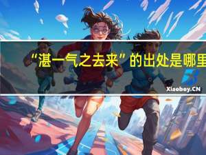 “湛一气之去来”的出处是哪里