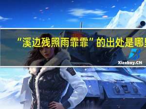 “溪边残照雨霏霏”的出处是哪里