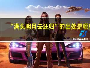 “满头明月去还归”的出处是哪里