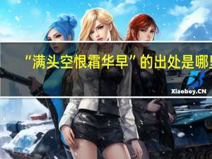 “满头空恨霜华早”的出处是哪里
