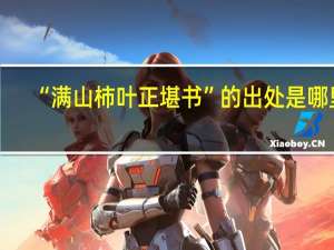 “满山柿叶正堪书”的出处是哪里