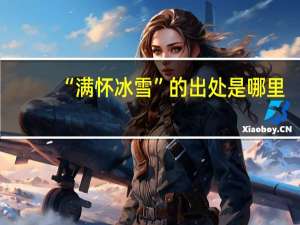“满怀冰雪”的出处是哪里