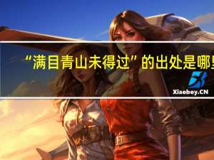 “满目青山未得过”的出处是哪里