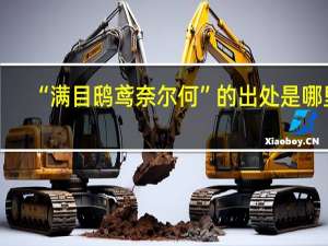 “满目鸱鸢奈尔何”的出处是哪里