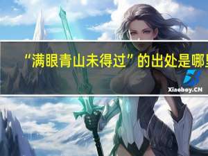 “满眼青山未得过”的出处是哪里