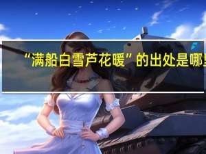 “满船白雪芦花暖”的出处是哪里