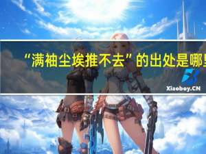 “满袖尘埃推不去”的出处是哪里