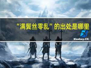 “满鬓丝零乱”的出处是哪里