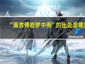“漏泄傅岩梦中雨”的出处是哪里