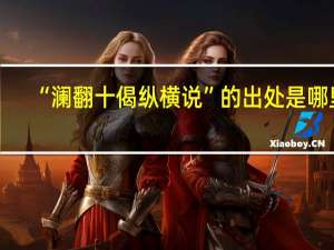 “澜翻十偈纵横说”的出处是哪里