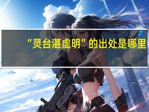 “灵台湛虚明”的出处是哪里