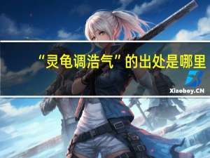 “灵龟调浩气”的出处是哪里