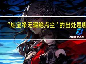 “灿宝净无瑕绝点尘”的出处是哪里