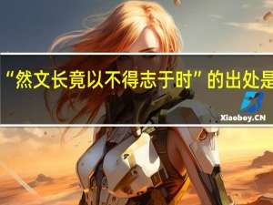 “然文长竟以不得志于时”的出处是哪里