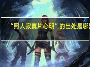 “照人寂寞片心明”的出处是哪里