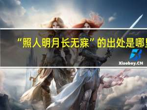 “照人明月长无寐”的出处是哪里