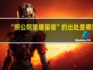 “照公院里堪留宿”的出处是哪里