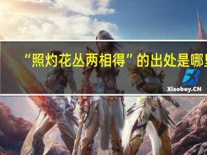 “照灼花丛两相得”的出处是哪里