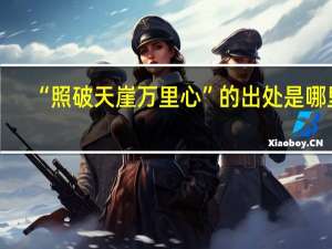 “照破天崖万里心”的出处是哪里