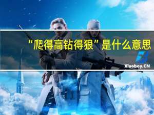 “爬得高钻得狠”是什么意思？