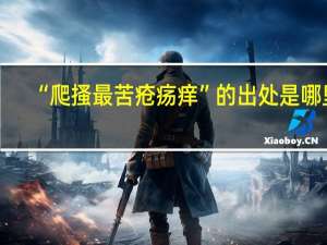 “爬搔最苦疮疡痒”的出处是哪里