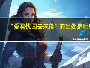 “爱君忧国去未能”的出处是哪里