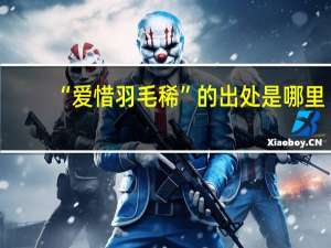 “爱惜羽毛稀”的出处是哪里