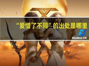 “爱憎了不同”的出处是哪里