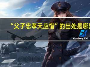 “父子忠孝天应惜”的出处是哪里