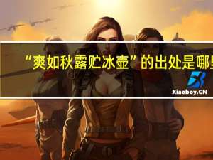 “爽如秋露贮冰壶”的出处是哪里