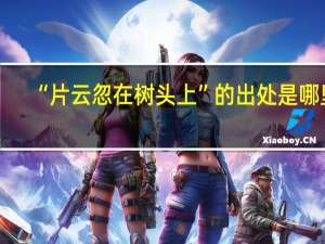 “片云忽在树头上”的出处是哪里