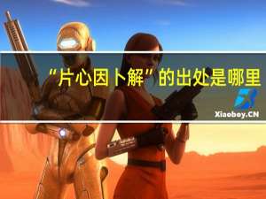 “片心因卜解”的出处是哪里