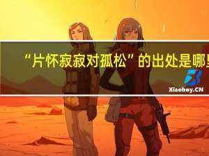 “片怀寂寂对孤松”的出处是哪里