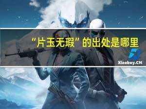 “片玉无瑕”的出处是哪里